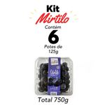 Mirtilo-6potes-front