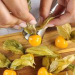 Physalis-8potes-producao