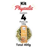 individual-pack-Physalis-4_8_11zon_8_11zon