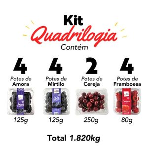 Kit Quadrilogia com berries frescas 14 potes 1,820kg