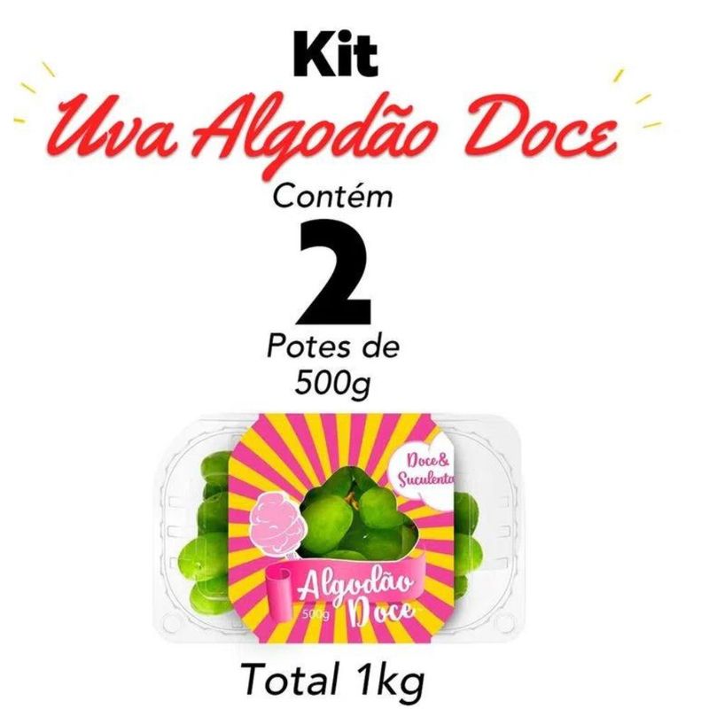 Design-sem-nome--31-