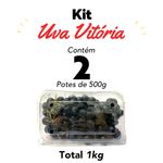 individual-Uva-vitoria-4-BHBR