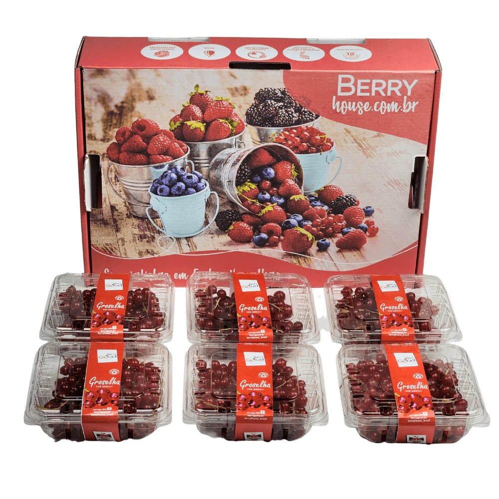 Compre Kit Groselha Fresca 6 potes 750g | Berry House