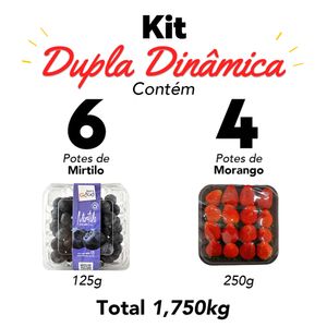 Kit Mirtilo e Morango Fresco 10 potes 1,750kg