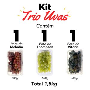 Kit Trio de Uvas Fresca 3 potes 1,500kg
