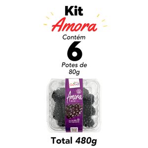 Kit Amora Fresca 6 potes 480g