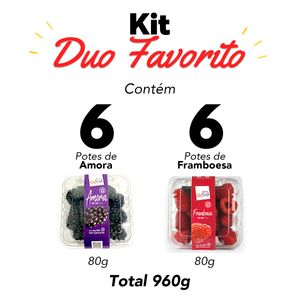 Kit Amora e Framboesa Fresca 12 potes 960g