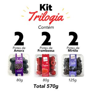Kit Trilogia de Berries Fresca 6 potes 570g