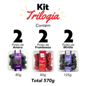 Kit Trilogia de Berries Fresca 6 potes 570g