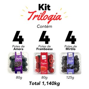 Kit Trilogia de Berries Fresca 12 potes 1,140kg