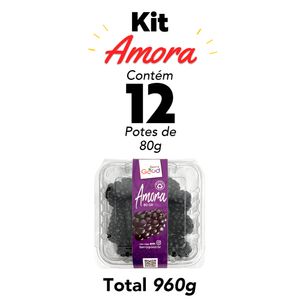 Kit Amora Fresca 12 potes 960g