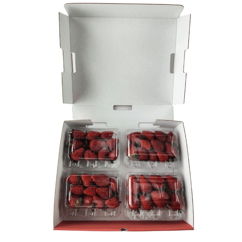 Morango-Convencional-1-Kg-Dentro-Caixa