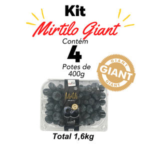 Kit Mirtilo Giant  Fresco 4 Potes 1,6kg