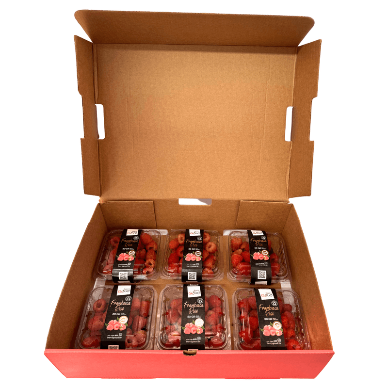 Framboesa-Rose-06-potes-dentro-caixa.png
