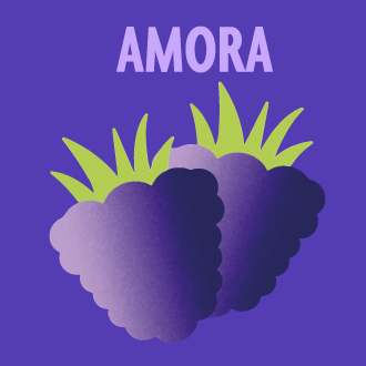 Amora