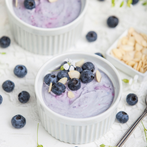 MOUSSE VEGANO DE MIRTILOS 